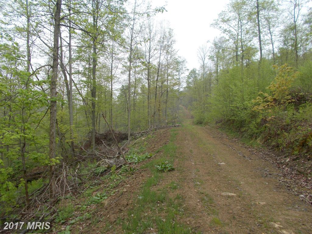 Wellersburg Road - Photo 1
