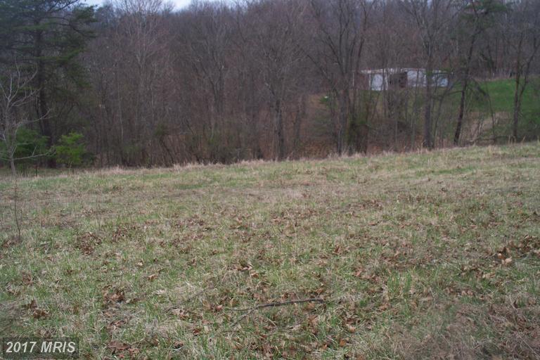 11415 Oak Tree Ridge Road - Photo 1