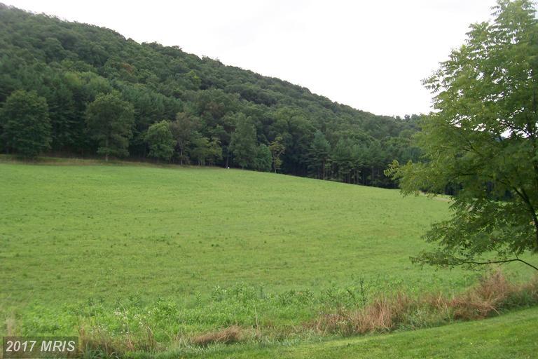 11101 Christie Road - Photo 1