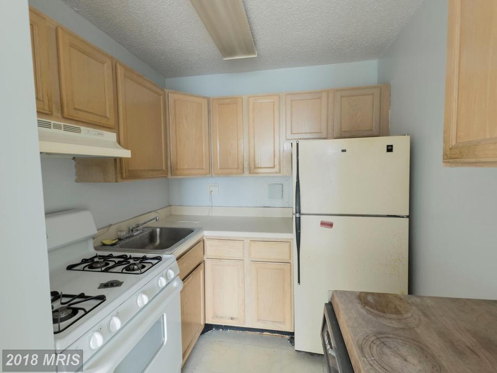 1225 Martha Custis Drive - Photo 1