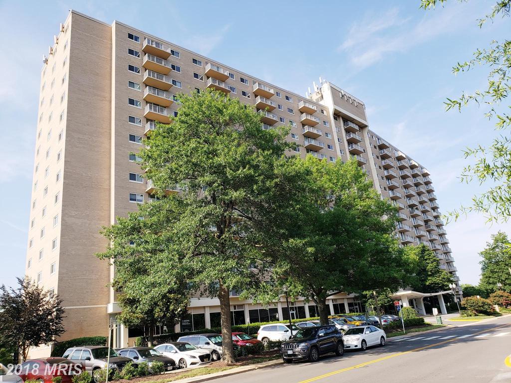1225 Martha Custis Drive - Photo 1