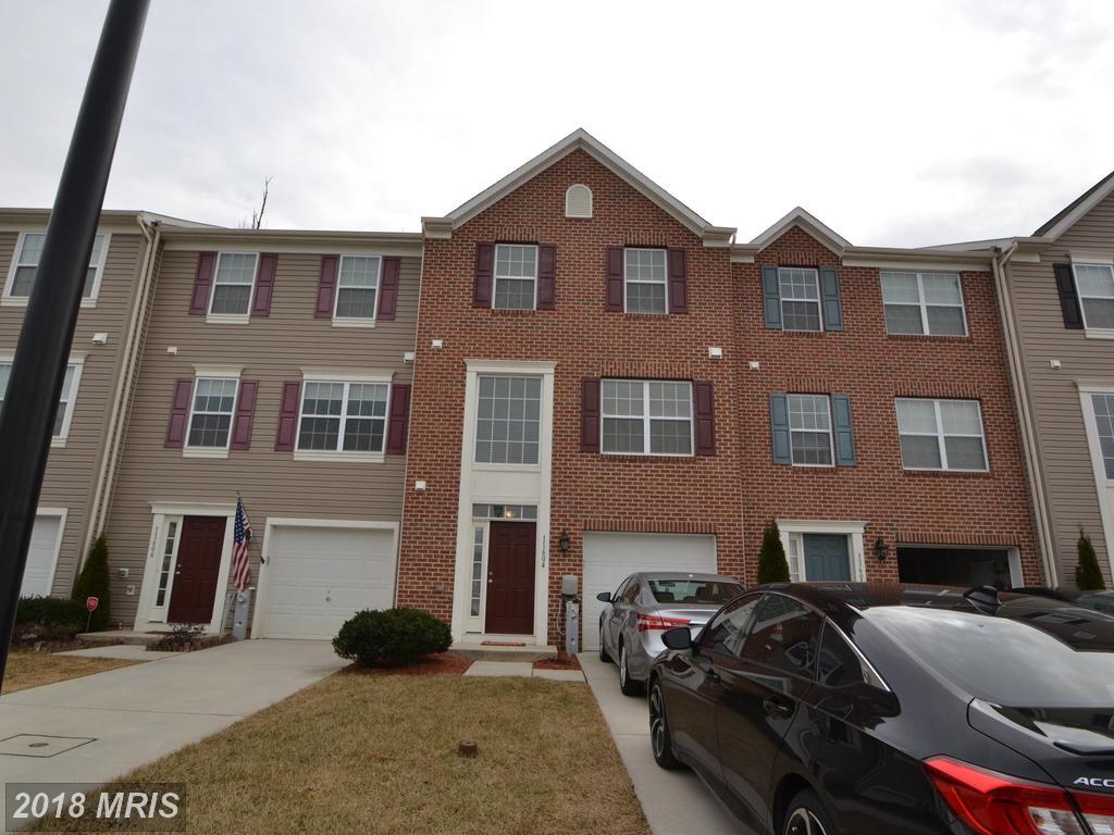 11604 Amaralles Drive - Photo 1