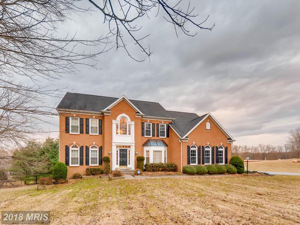 2518 Chestnut Woods Court - Photo 1