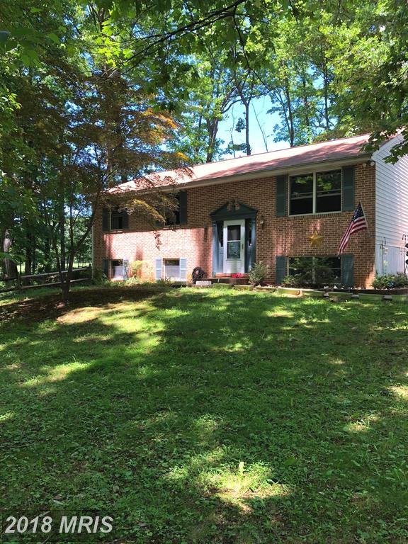 830 Berrymans Lane - Photo 1