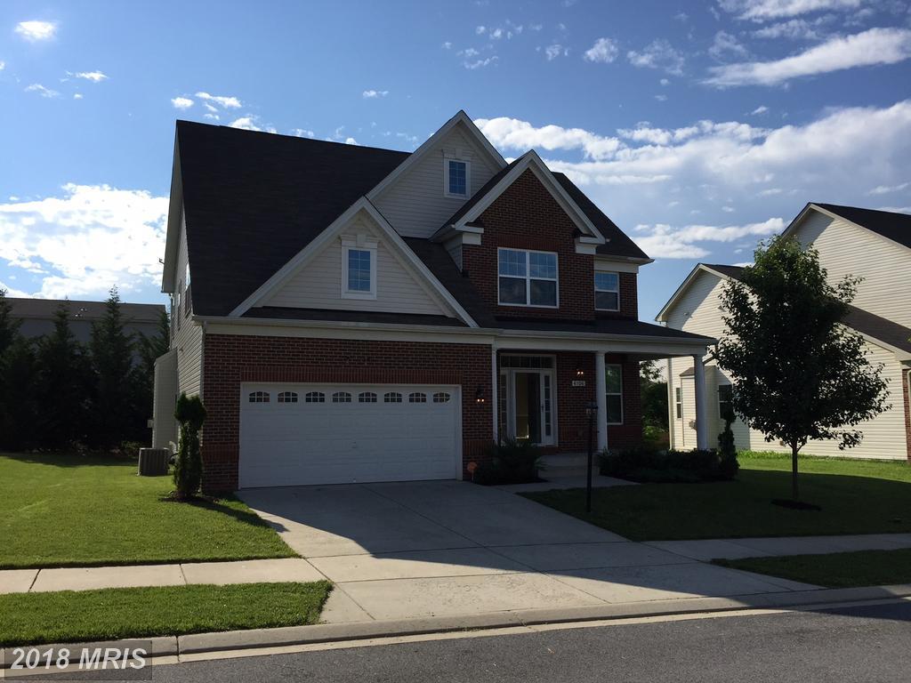 4106 Bald Eagle Court - Photo 1