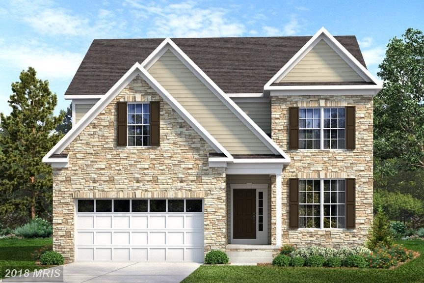 7903 Jabaji Court - Photo 1