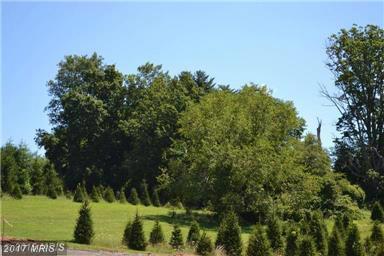 LOT Westminster Pike - Photo 1