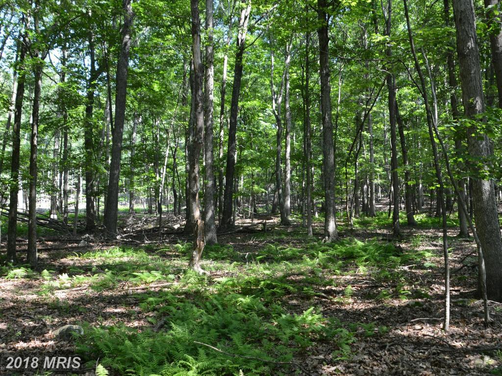 LOT D Jacksonville Road - Photo 1