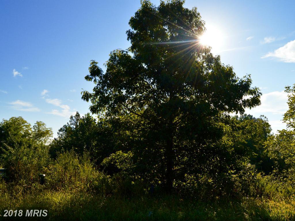 LOT 153 Labonte Drive - Photo 1