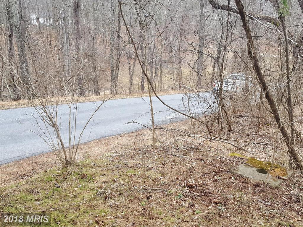 Swinging Bridge Road - Photo 1