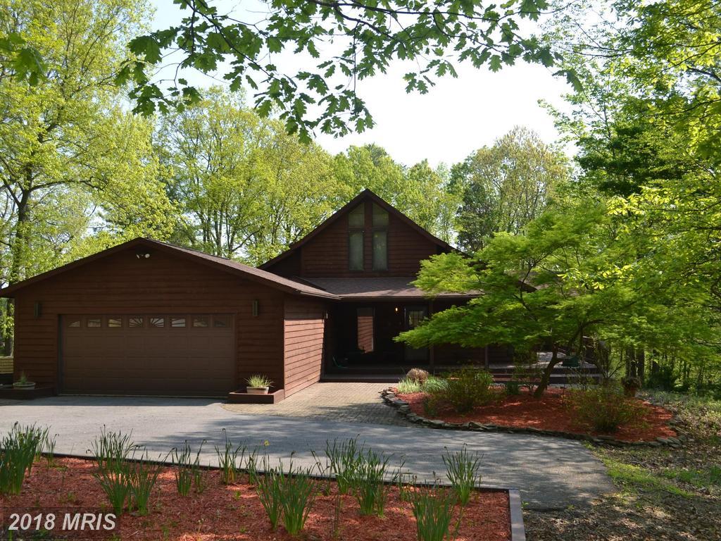 223 Rising Sun Road - Photo 1