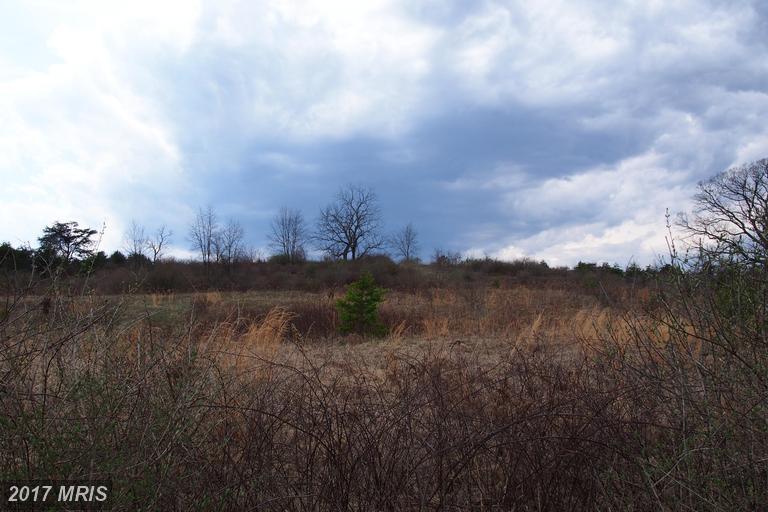 Puffenburger Lane - Photo 1