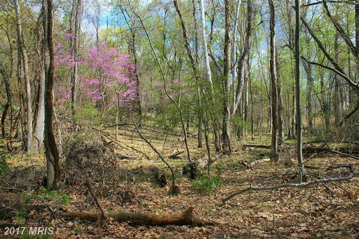421 Otter Creek Drive - Photo 1