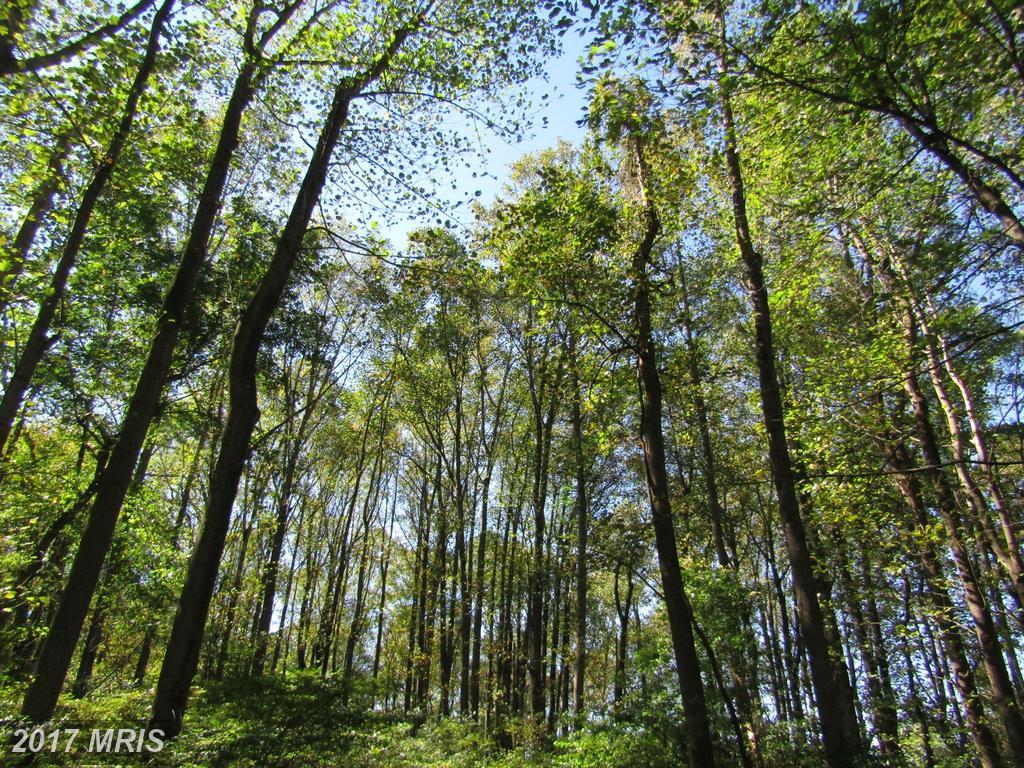 LOT 4 Chesapeake Lane - Photo 1
