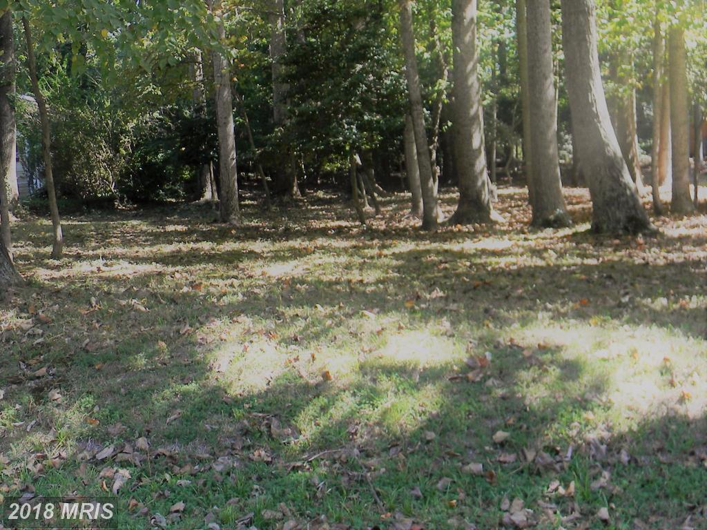 12944 Pine Lane - Photo 1