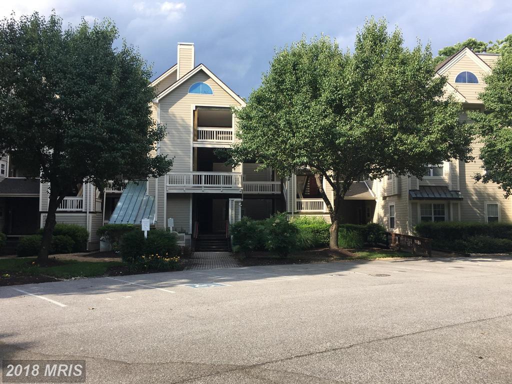 1203 Back Creek Loop - Photo 1