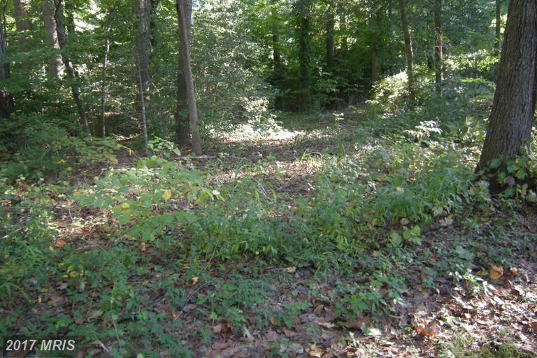 12954 Mills Creek Drive - Photo 1
