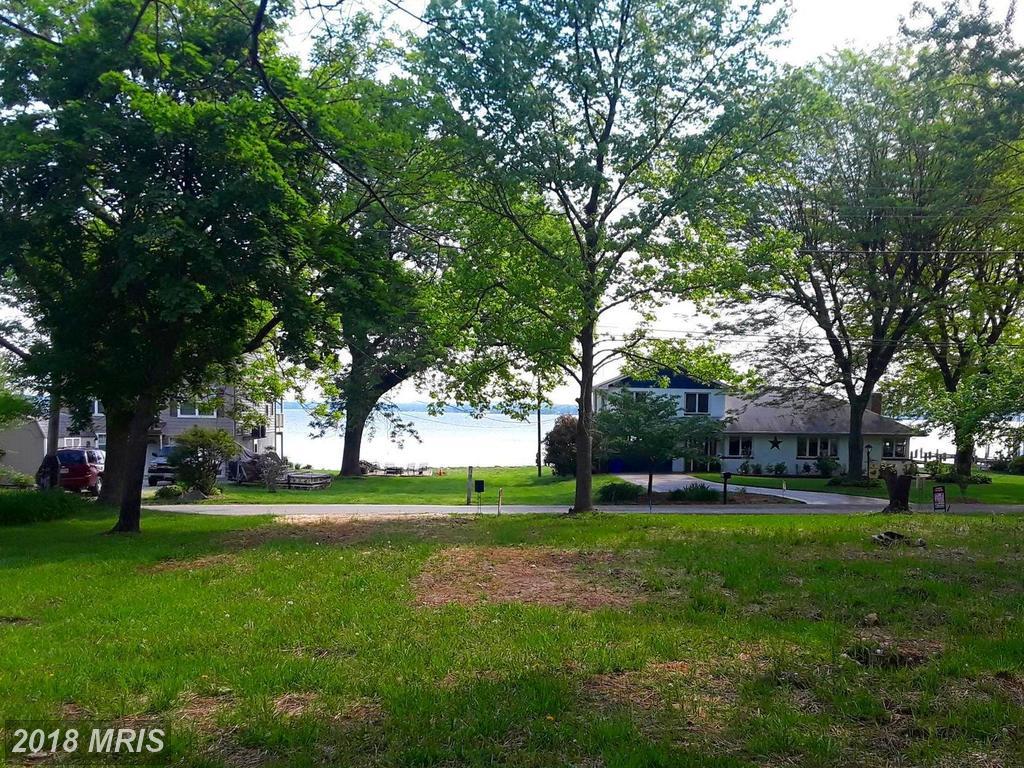 Cherry Lane - Photo 1