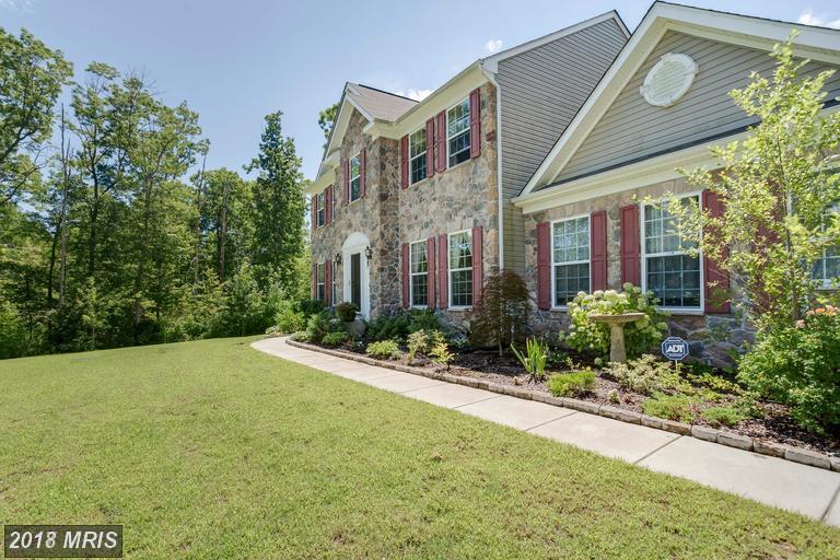 92 Rhodes Mountain Drive - Photo 1