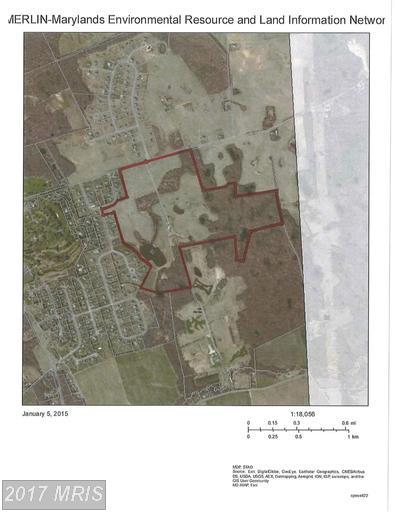 360 Williams Road - Photo 1