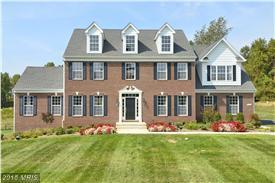 7342 Wild Ginger Court - Photo 1