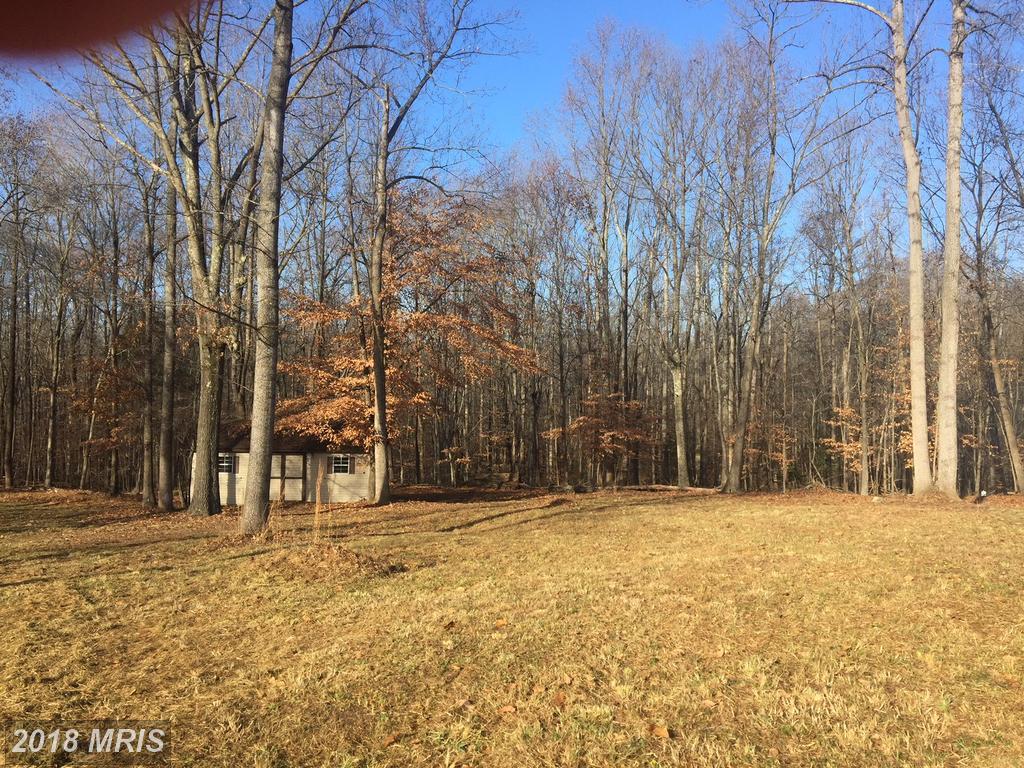 4645 Bridgemount Place - Photo 1