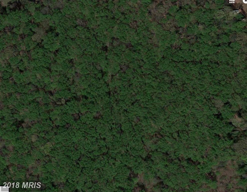 Old Simms Mill Road - Photo 1