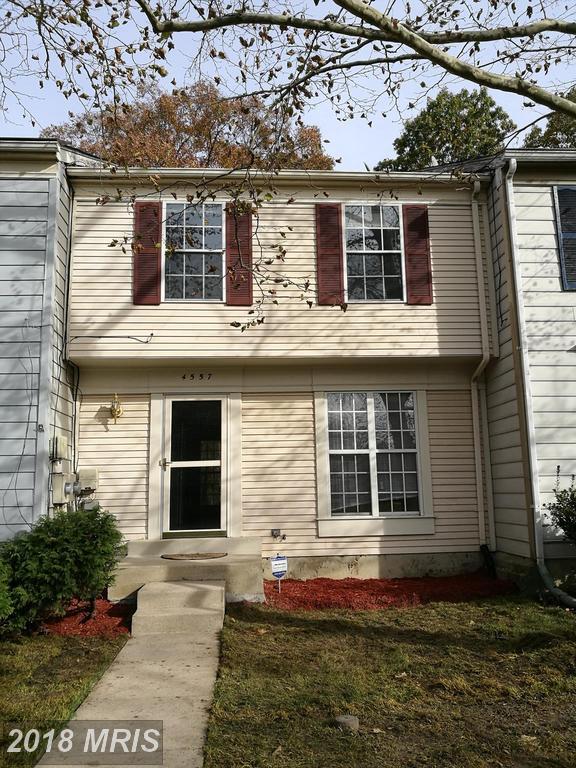 4557 Grouse Place - Photo 1