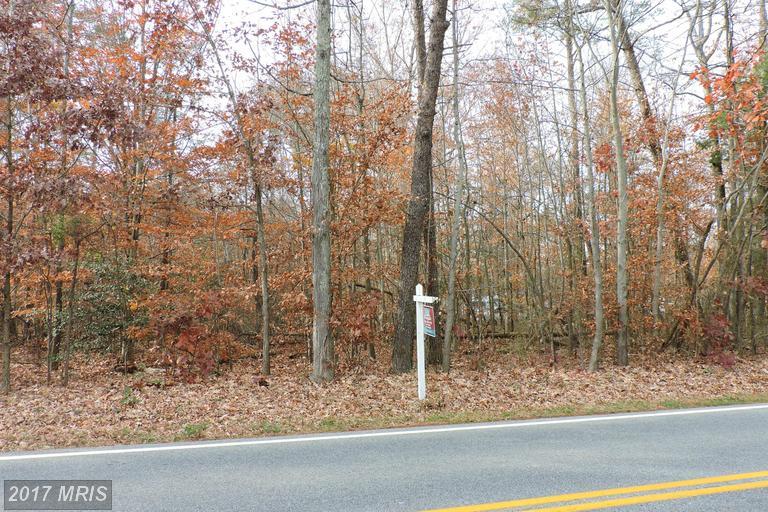 0 Bumpy Oak Road - Photo 1