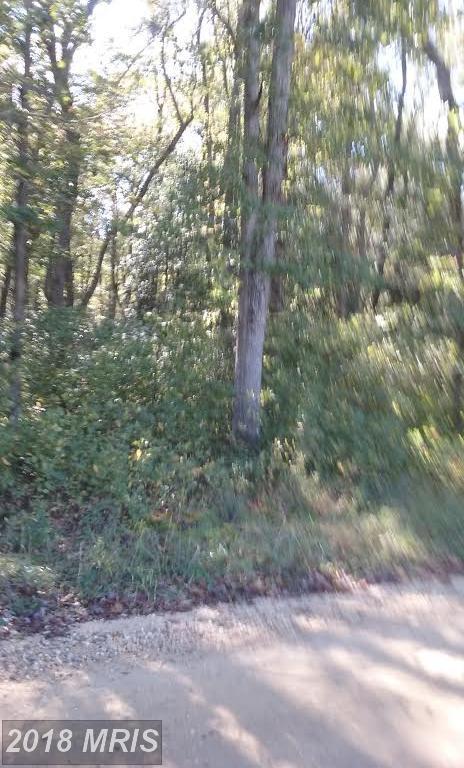 0 Trunk Line Road - Photo 1