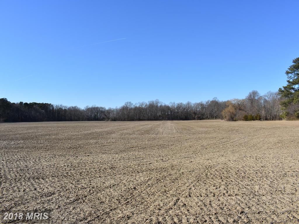 614 Old Denton Road - Photo 1