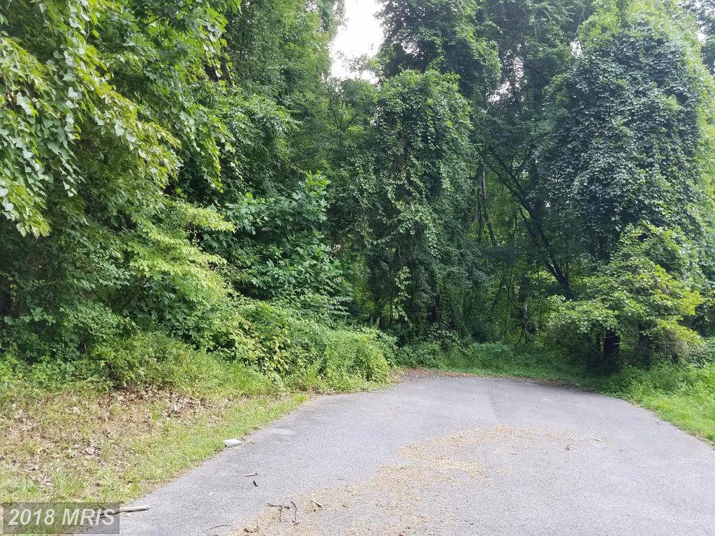 Link Lot 29 Drive - Photo 1