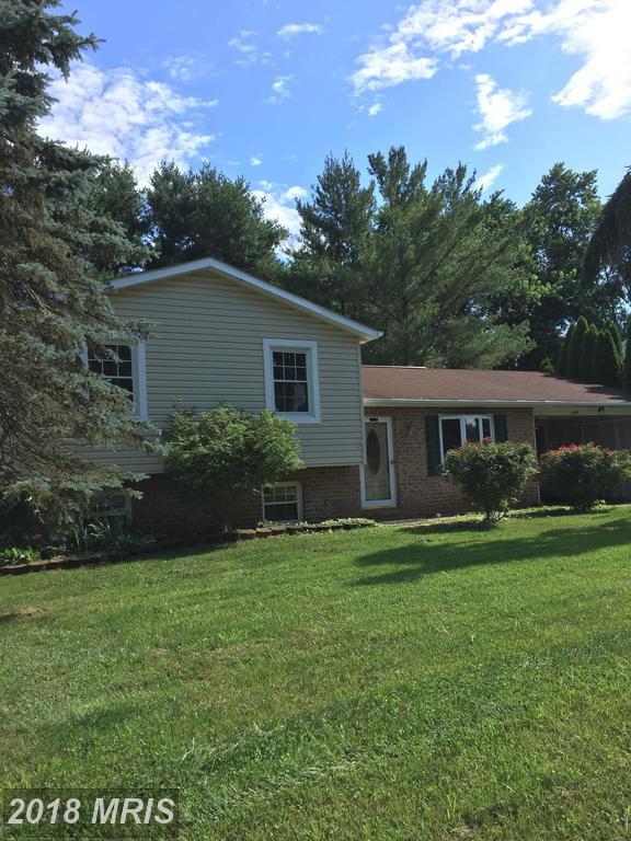 7246 Pommel Drive - Photo 1