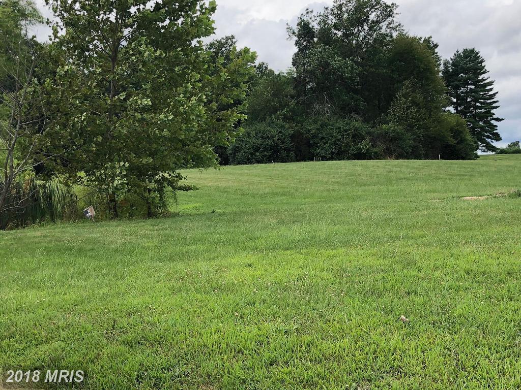 OC2 Taneytown Pike - Photo 1