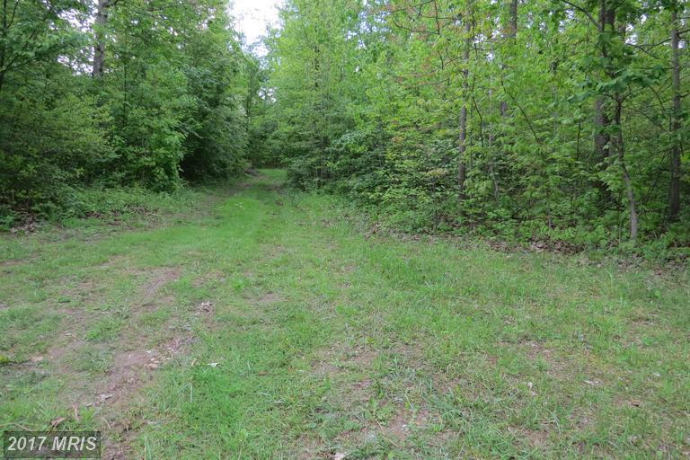 Warehime Road - Photo 1