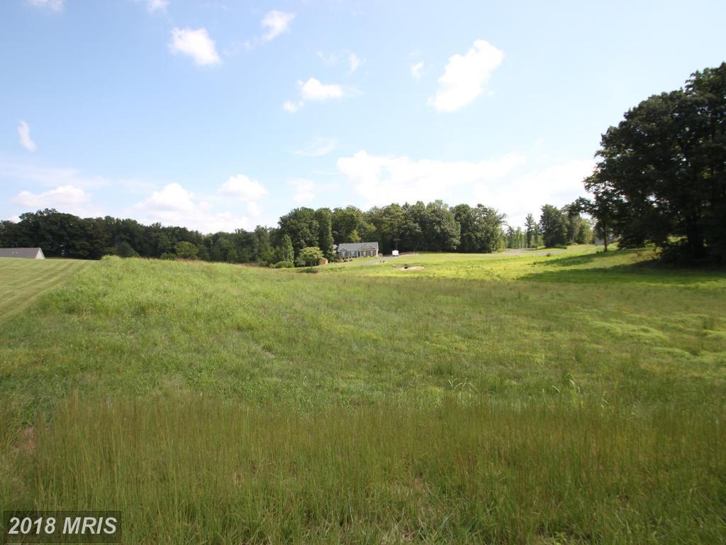 Lot 27 Blackbird Loop - Photo 1