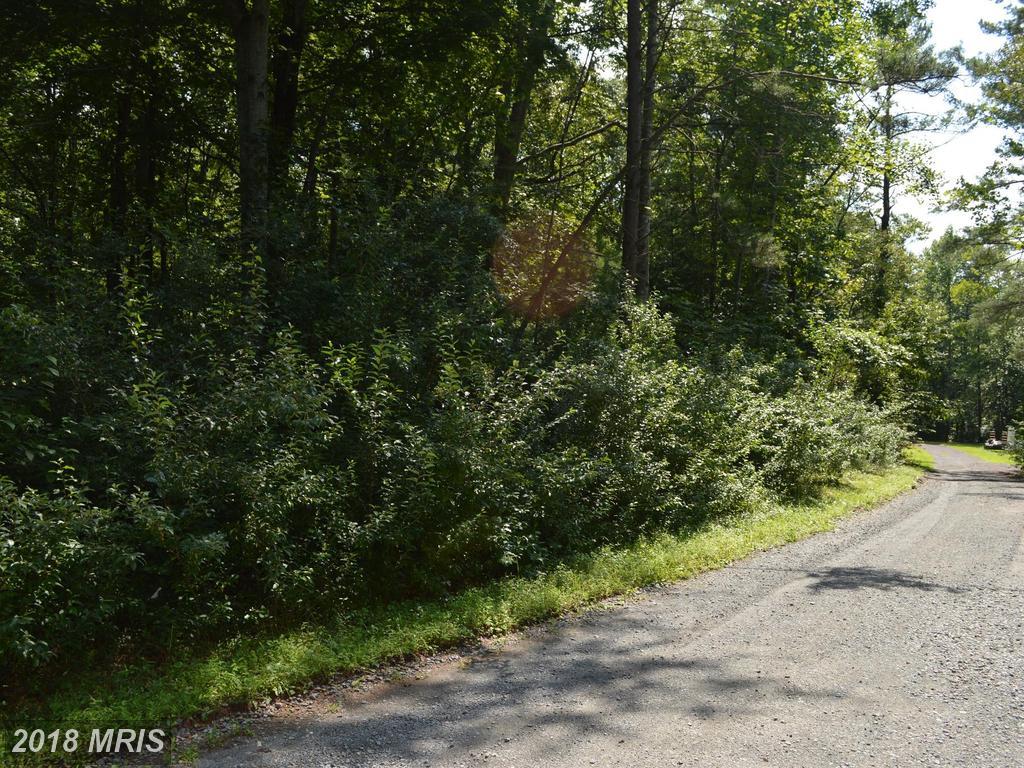 Cedar Lane - Photo 1