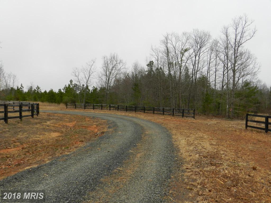 Trotting Trail - Photo 1
