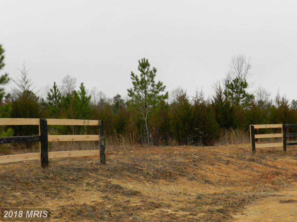 Trotting Trail - Photo 1