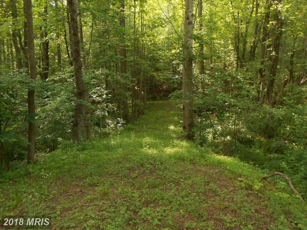 Stonehouse Mountain Road - Photo 1