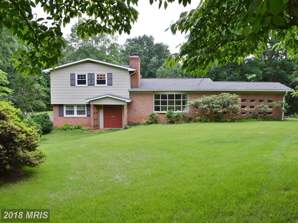 18412 Fox Mountain Lane - Photo 1