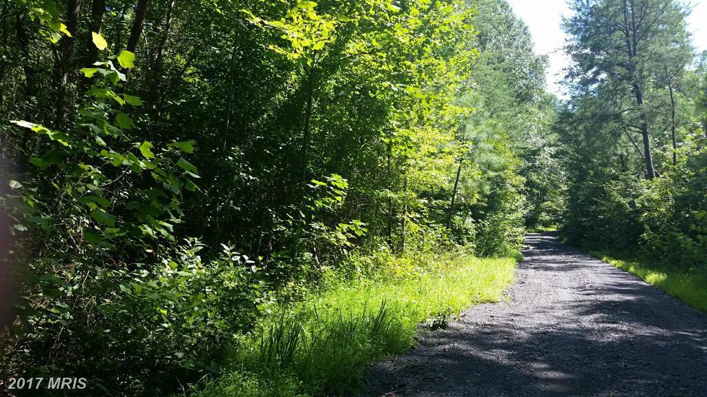Port Rapids Road - Photo 1