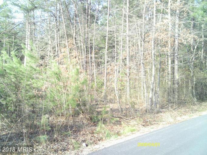Sunshine School Road - Photo 1