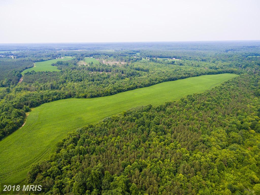 25114 Sparta Road - Photo 1