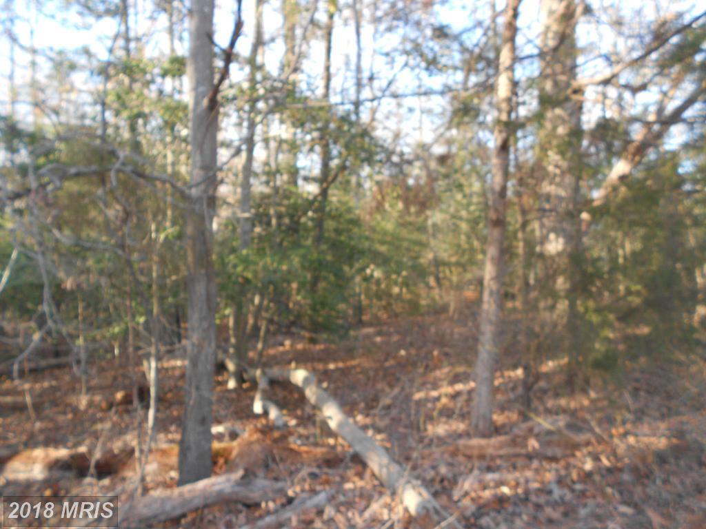 0 Rogers Clark Boulevard - Photo 1
