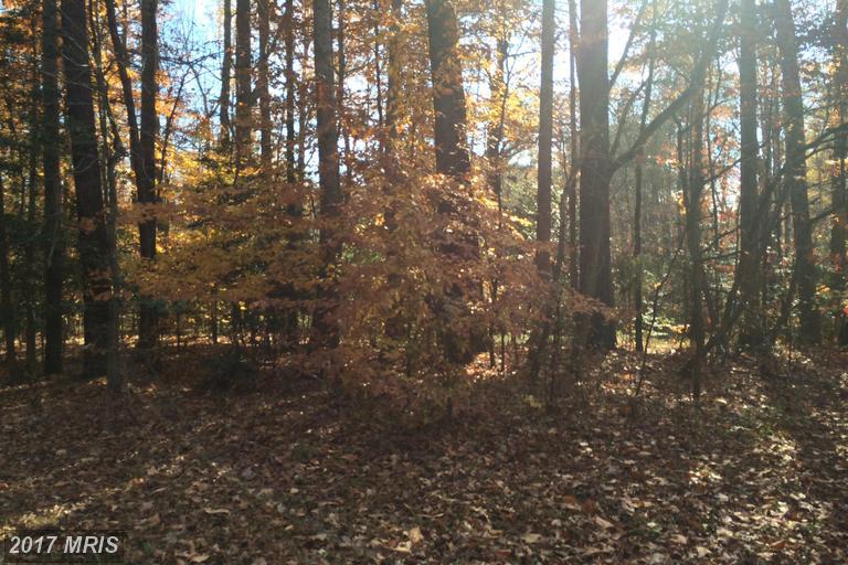 Slash Pine Circle - Photo 1