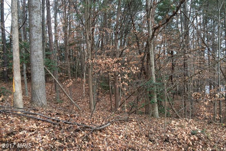 Country Club Lane - Photo 1