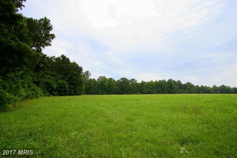 0 South River Road - Photo 1