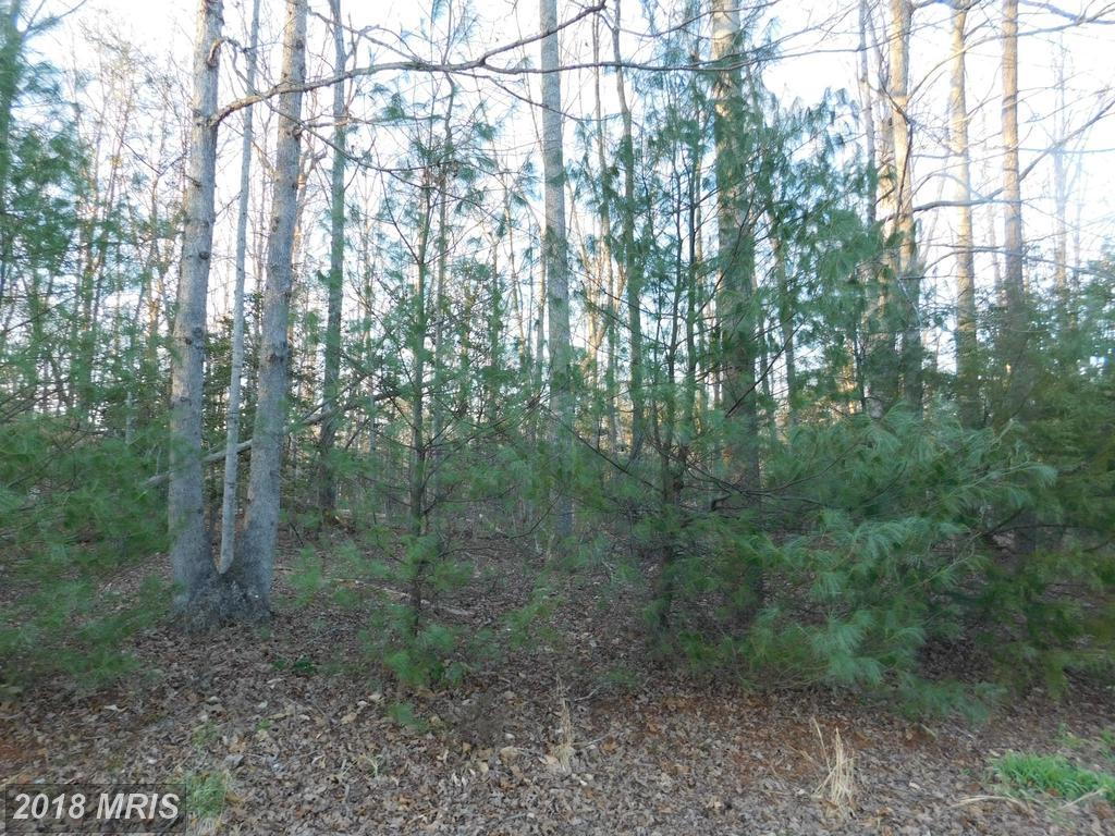 0 Harding Drive - Photo 1