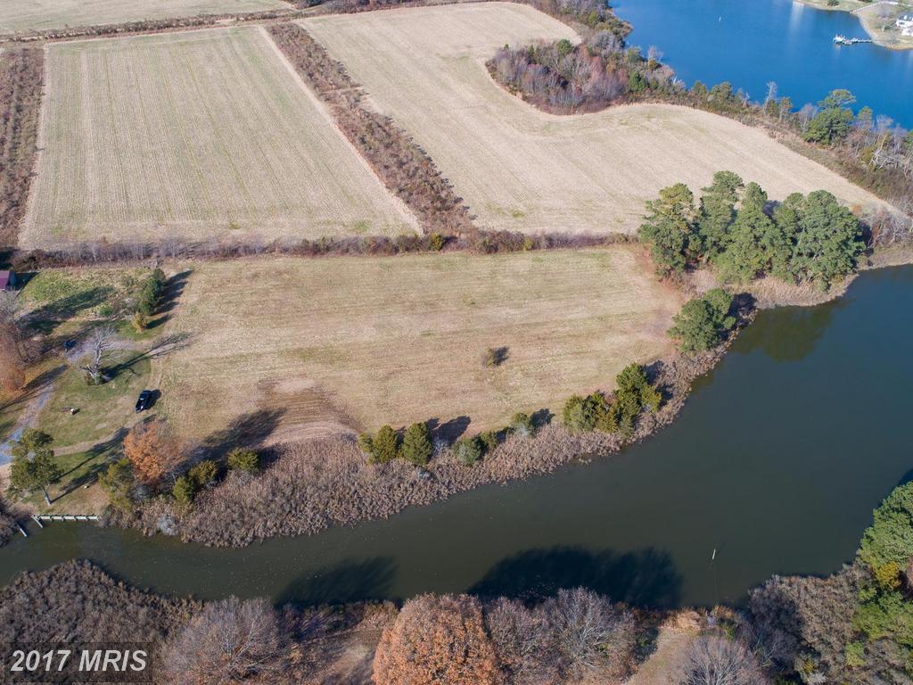 Taylors Island Road - Photo 1